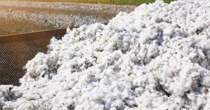 Guvernul va achita o obligație istorică de peste 30 de ani către SUA pentru un împrumut folosit la importul de bumbac.