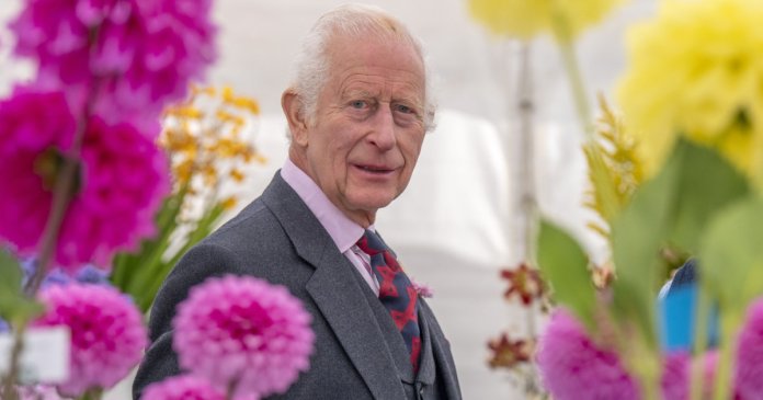 Recentele declarații ale Regelui Charles referitoare la terapia sa împotriva cancerului: „Poate fi copleșitor”