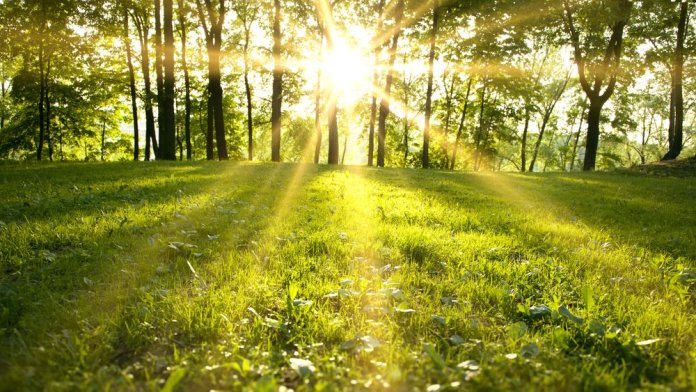 Meteorologii ANM au actualizat avertizarea de condiții meteorologice nefavorabile. Regiunile influențate de zăpadă până joi dimineața. HARTĂ