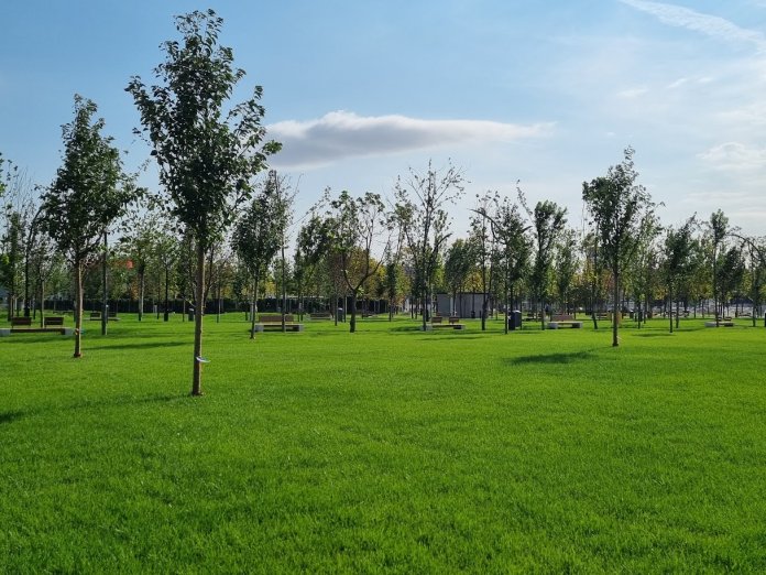 Noul parc din Sectorul 4 va fi denumit „Donald J. Trump”, anunță Daniel Băluță.