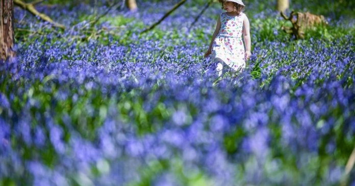 Prognoza vremii pentru următoarele 4 săptămâni: temperaturi mai ridicate decât în mod obișnuit, conform meteorologilor