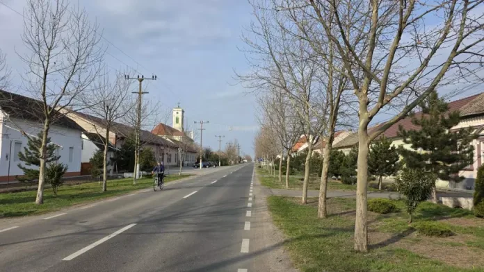 Român întors după 25 de ani în Germania: „Chiar și urzica arată mai bine aici decât trandafirii de acolo”